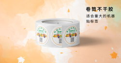 What are the key points of roll adhesive label printing