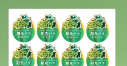 镭射激光Anti-counterfeiting adhesive特点是什么