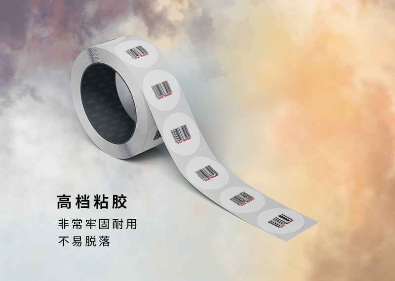 31110825782WDV.png